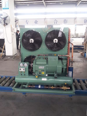 5 Hp Refrigeration Cold Room Condensing Unit Piston design