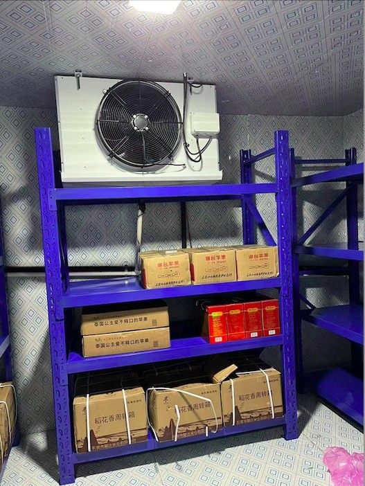 Customized Coolroom Evaporator Freezer Room Equipment Air Cooler Single Fan 220v